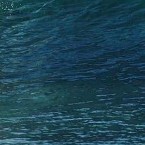 Meet your Posher, Gianna